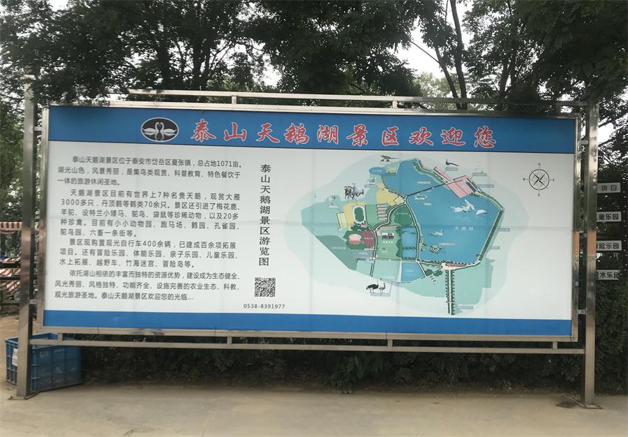 天鵝湖風(fēng)景區(qū)（泰山）速覽！(圖2)