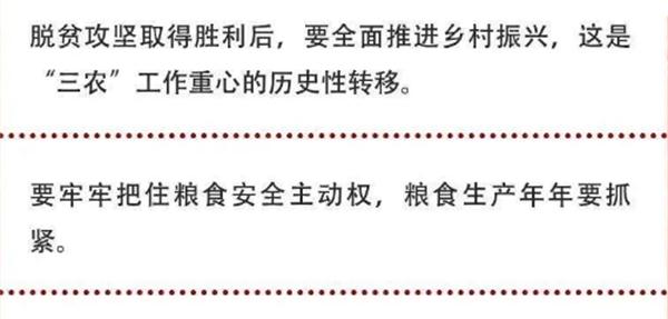 2020年中央農(nóng)村工作會議精神速覽！(圖2)