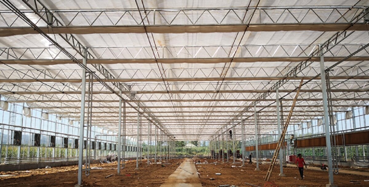 信橋鋼構(gòu)：打卡蒙陰農(nóng)業(yè)溫室大棚、青州黑牛養(yǎng)殖基地！(圖3)