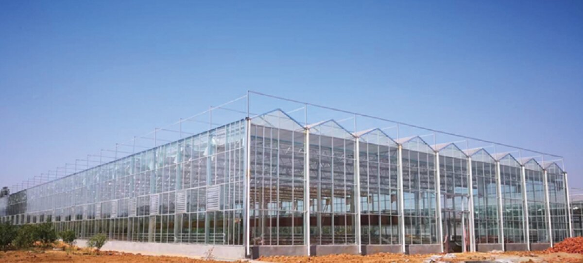 信橋鋼構(gòu)：打卡蒙陰農(nóng)業(yè)溫室大棚、青州黑牛養(yǎng)殖基地！(圖2)